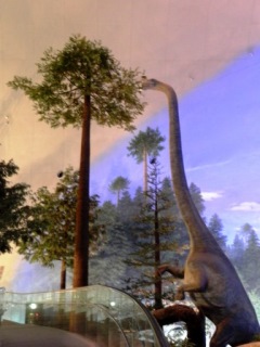 s-22020830-Dinosaur Museum (3).jpg